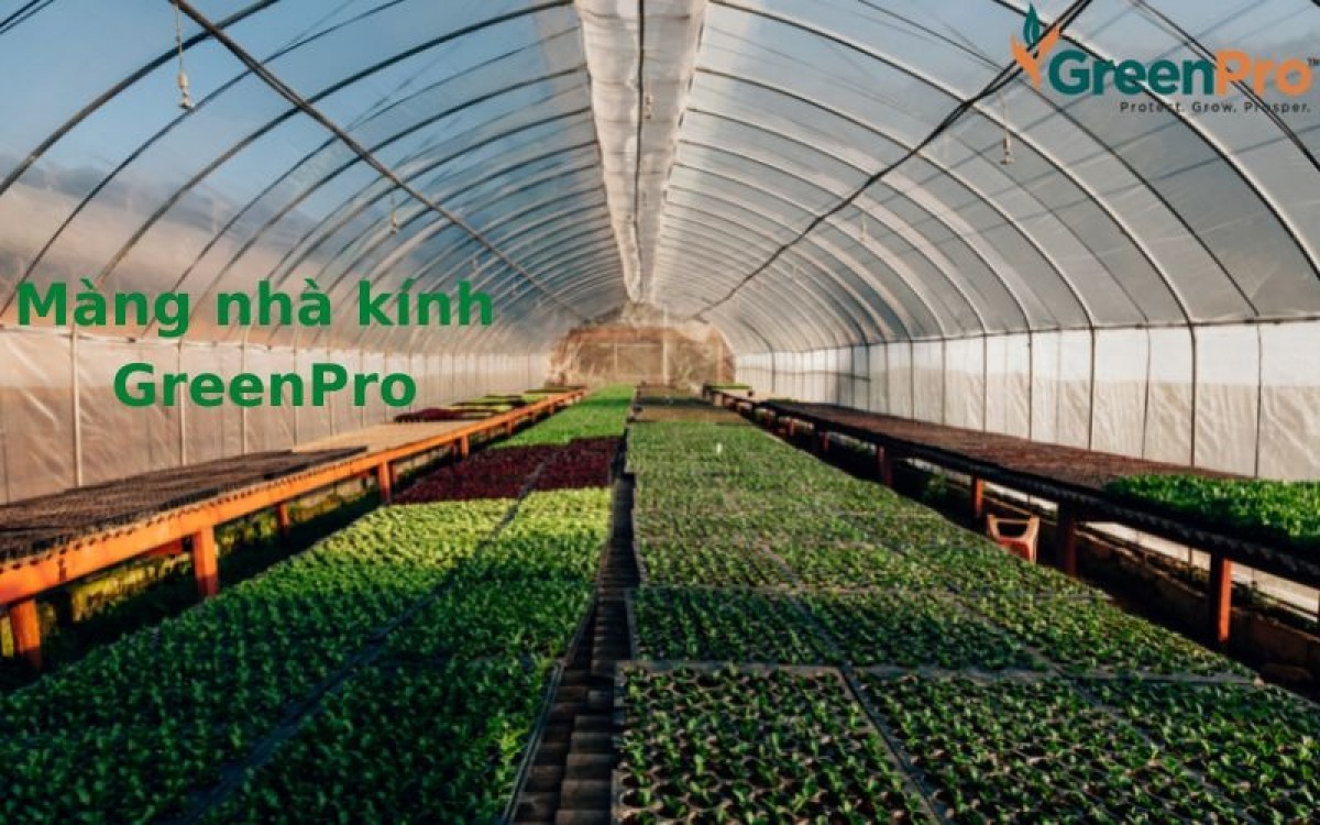 Màng nhà kính GreenPro – sản phẩm của nền nông nghiệp hiện đại.